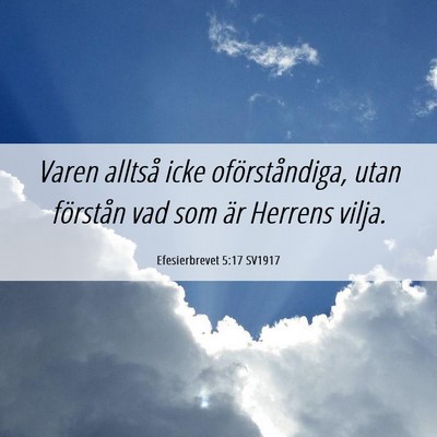 Picture 06 - Efesierbrevet 5:17 SV1917 - Varen alltså icke oförståndiga, utan förstån - Bible Verse Picture