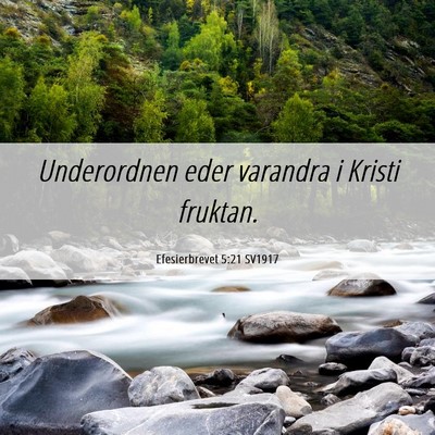Picture 06 - Efesierbrevet 5:21 SV1917 - Underordnen eder varandra i Kristi - Bible Verse Picture