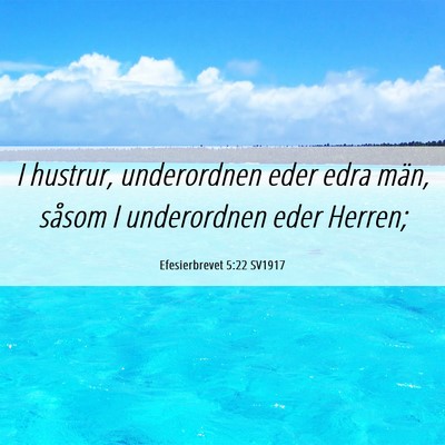Picture 06 - Efesierbrevet 5:22 SV1917 - I hustrur, underordnen eder edra män, såsom I - Bible Verse Picture