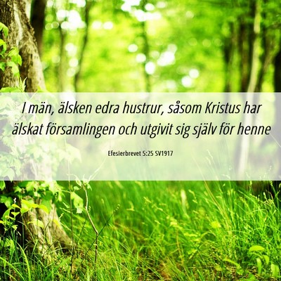 Picture 06 - Efesierbrevet 5:25 SV1917 - I män, älsken edra hustrur, såsom Kristus har - Bible Verse Picture