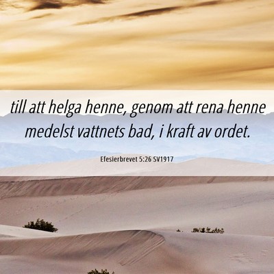 Picture 06 - Efesierbrevet 5:26 SV1917 - till att helga henne, genom att rena henne - Bible Verse Picture
