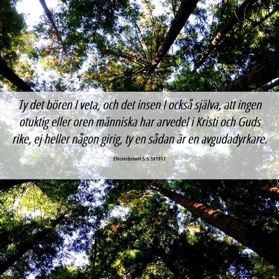 Picture 06 - Efesierbrevet 5:5 SV1917 - Ty det bören I veta, och det insen I också - Bible Verse Picture