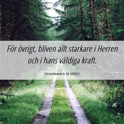 Picture 06 - Efesierbrevet 6:10 SV1917 - För övrigt, bliven allt starkare i Herren och i - Bible Verse Picture