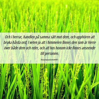 Picture 06 - Efesierbrevet 6:9 SV1917 - Och I herrar, handlen på samma sätt mot dem, - Bible Verse Picture