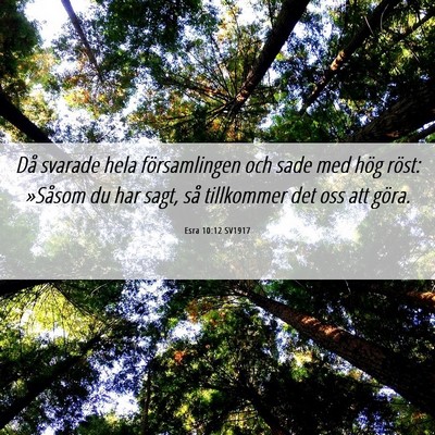 Picture 06 - Esra 10:12 SV1917 - Då svarade hela församlingen och sade med hög - Bible Verse Picture