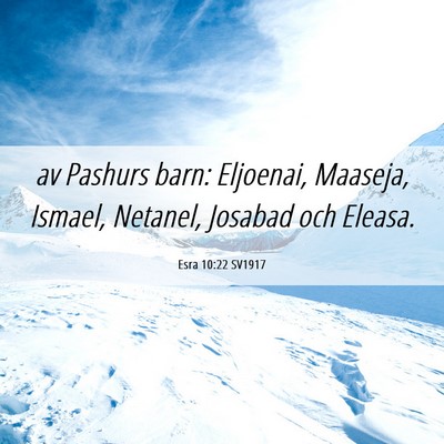 Picture 06 - Esra 10:22 SV1917 - av Pashurs barn: Eljoenai, Maaseja, Ismael, - Bible Verse Picture