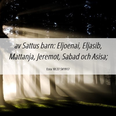 Picture 06 - Esra 10:27 SV1917 - av Sattus barn: Eljoenai, Eljasib, Mattanja, - Bible Verse Picture