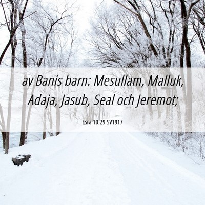 Picture 06 - Esra 10:29 SV1917 - av Banis barn: Mesullam, Malluk, Adaja, Jasub, - Bible Verse Picture