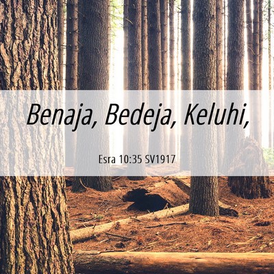 Picture 06 - Esra 10:35 SV1917 - Benaja, Bedeja, - Bible Verse Picture
