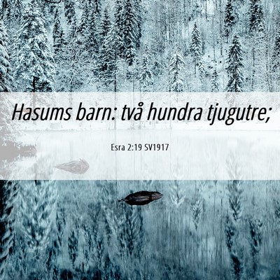Picture 06 - Esra 2:19 SV1917 - Hasums barn: två hundra - Bible Verse Picture