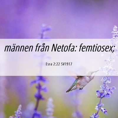 Picture 06 - Esra 2:22 SV1917 - männen från Netofa: - Bible Verse Picture