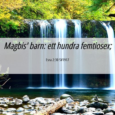 Picture 06 - Esra 2:30 SV1917 - Magbis' barn: ett hundra - Bible Verse Picture
