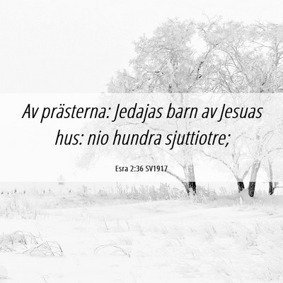 Picture 06 - Esra 2:36 SV1917 - Av prästerna: Jedajas barn av Jesuas hus: nio - Bible Verse Picture
