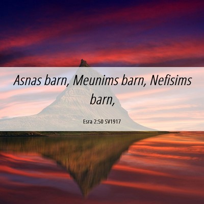 Picture 06 - Esra 2:50 SV1917 - Asnas barn, Meunims barn, Nefisims - Bible Verse Picture
