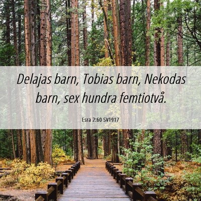 Picture 06 - Esra 2:60 SV1917 - Delajas barn, Tobias barn, Nekodas barn, sex - Bible Verse Picture