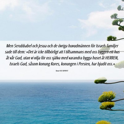 Picture 06 - Esra 4:3 SV1917 - Men Serubbabel och Jesua och de övriga - Bible Verse Picture