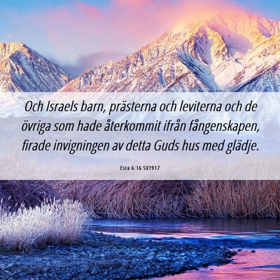 Picture 06 - Esra 6:16 SV1917 - Och Israels barn, prästerna och leviterna och de - Bible Verse Picture