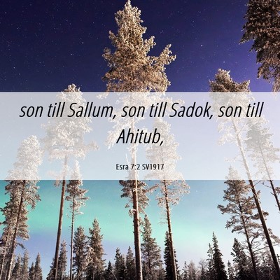 Picture 06 - Esra 7:2 SV1917 - son till Sallum, son till Sadok, son till - Bible Verse Picture