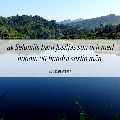 Picture 06 - Esra 8:10 SV1917 - av Selomits barn Josifjas son och med honom ett - Bible Verse Picture