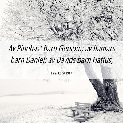 Picture 06 - Esra 8:2 SV1917 - Av Pinehas' barn Gersom; av Itamars barn Daniel; - Bible Verse Picture