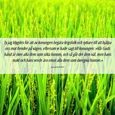 Picture 06 - Esra 8:22 SV1917 - Ty jag blygdes för att av konungen begära - Bible Verse Picture