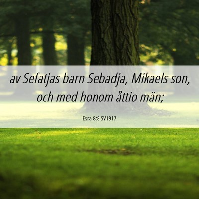 Picture 06 - Esra 8:8 SV1917 - av Sefatjas barn Sebadja, Mikaels son, och med - Bible Verse Picture