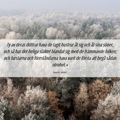 Picture 06 - Esra 9:2 SV1917 - Ty av deras döttrar hava de tagit hustrur åt - Bible Verse Picture