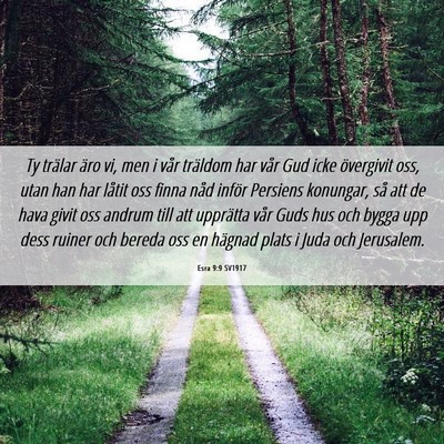 Picture 06 - Esra 9:9 SV1917 - Ty trälar äro vi, men i vår träldom har vår - Bible Verse Picture