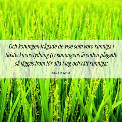 Picture 06 - Ester 1:13 SV1917 - Och konungen frågade de vise som voro kunniga i - Bible Verse Picture