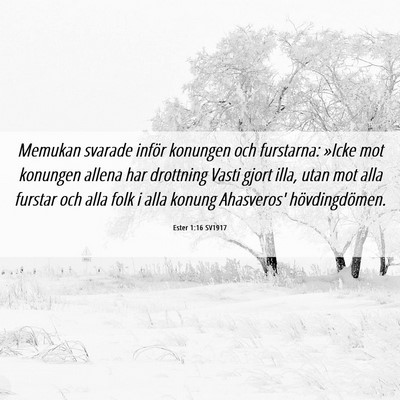 Picture 06 - Ester 1:16 SV1917 - Memukan svarade inför konungen och furstarna: - Bible Verse Picture