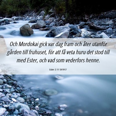 Picture 06 - Ester 2:11 SV1917 - Och Mordokai gick var dag fram och åter utanför - Bible Verse Picture