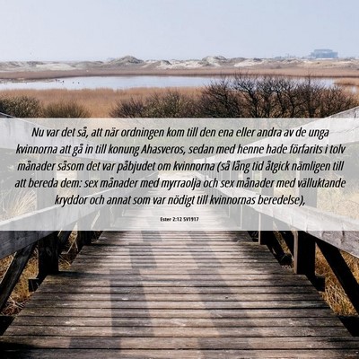 Picture 06 - Ester 2:12 SV1917 - Nu var det så, att när ordningen kom till den - Bible Verse Picture