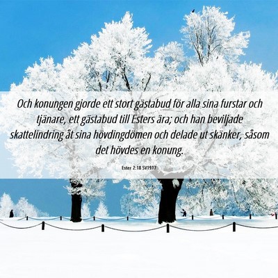 Picture 06 - Ester 2:18 SV1917 - Och konungen gjorde ett stort gästabud för alla - Bible Verse Picture