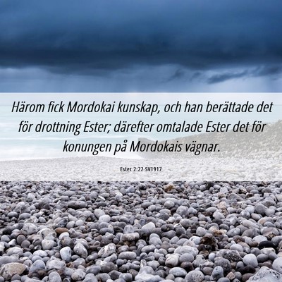 Picture 06 - Ester 2:22 SV1917 - Härom fick Mordokai kunskap, och han berättade - Bible Verse Picture
