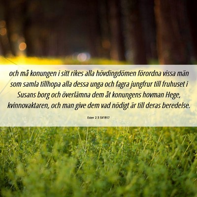 Picture 06 - Ester 2:3 SV1917 - och må konungen i sitt rikes alla hövdingdömen - Bible Verse Picture