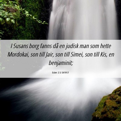 Picture 06 - Ester 2:5 SV1917 - I Susans borg fanns då en judisk man som hette - Bible Verse Picture