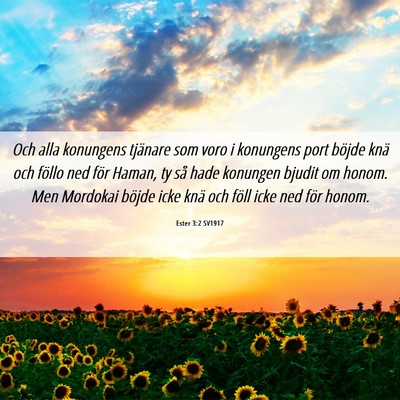 Picture 06 - Ester 3:2 SV1917 - Och alla konungens tjänare som voro i konungens - Bible Verse Picture
