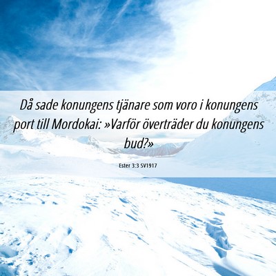 Picture 06 - Ester 3:3 SV1917 - Då sade konungens tjänare som voro i konungens - Bible Verse Picture