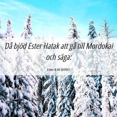 Picture 06 - Ester 4:10 SV1917 - Då bjöd Ester Hatak att gå till Mordokai och - Bible Verse Picture