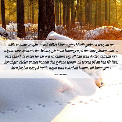 Picture 06 - Ester 4:11 SV1917 - »Alla konungens tjänare och folket i konungens - Bible Verse Picture