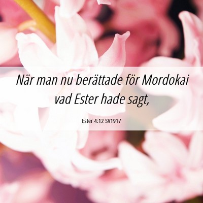 Picture 06 - Ester 4:12 SV1917 - När man nu berättade för Mordokai vad Ester - Bible Verse Picture