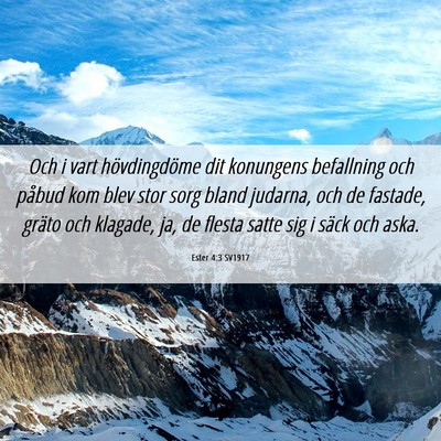 Picture 06 - Ester 4:3 SV1917 - Och i vart hövdingdöme dit konungens befallning - Bible Verse Picture