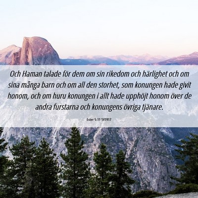 Picture 06 - Ester 5:11 SV1917 - Och Haman talade för dem om sin rikedom och - Bible Verse Picture