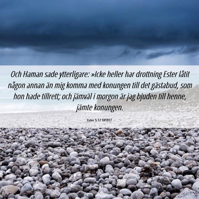 Picture 06 - Ester 5:12 SV1917 - Och Haman sade ytterligare: »Icke heller har - Bible Verse Picture