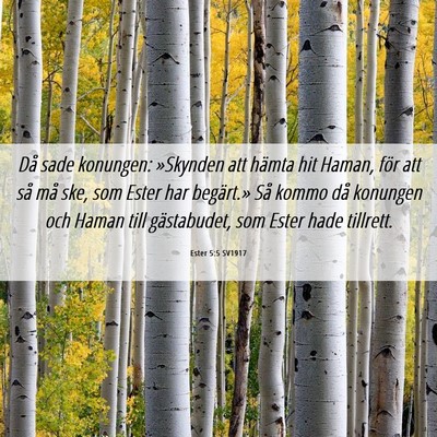 Picture 06 - Ester 5:5 SV1917 - Då sade konungen: »Skynden att hämta hit - Bible Verse Picture