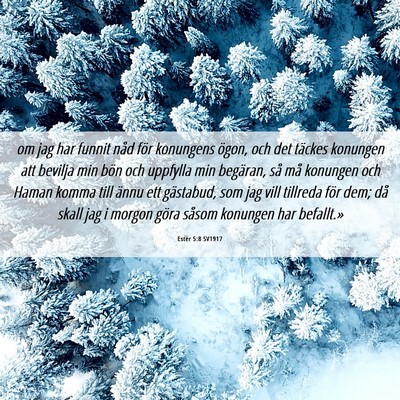Picture 06 - Ester 5:8 SV1917 - om jag har funnit nåd för konungens ögon, och - Bible Verse Picture
