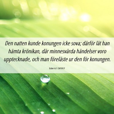 Picture 06 - Ester 6:1 SV1917 - Den natten kunde konungen icke sova; därför - Bible Verse Picture
