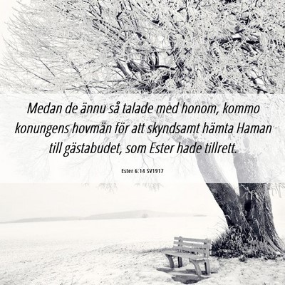 Picture 06 - Ester 6:14 SV1917 - Medan de ännu så talade med honom, kommo - Bible Verse Picture