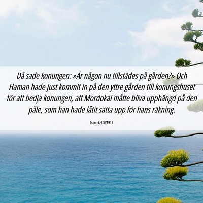 Picture 06 - Ester 6:4 SV1917 - Då sade konungen: »Är någon nu tillstädes - Bible Verse Picture