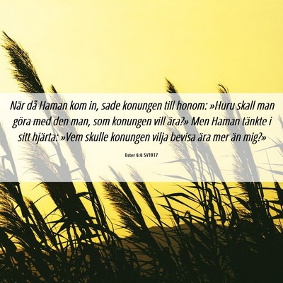 Picture 06 - Ester 6:6 SV1917 - När då Haman kom in, sade konungen till honom: - Bible Verse Picture
